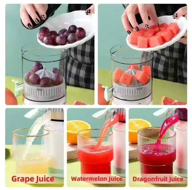 Electric Juicer